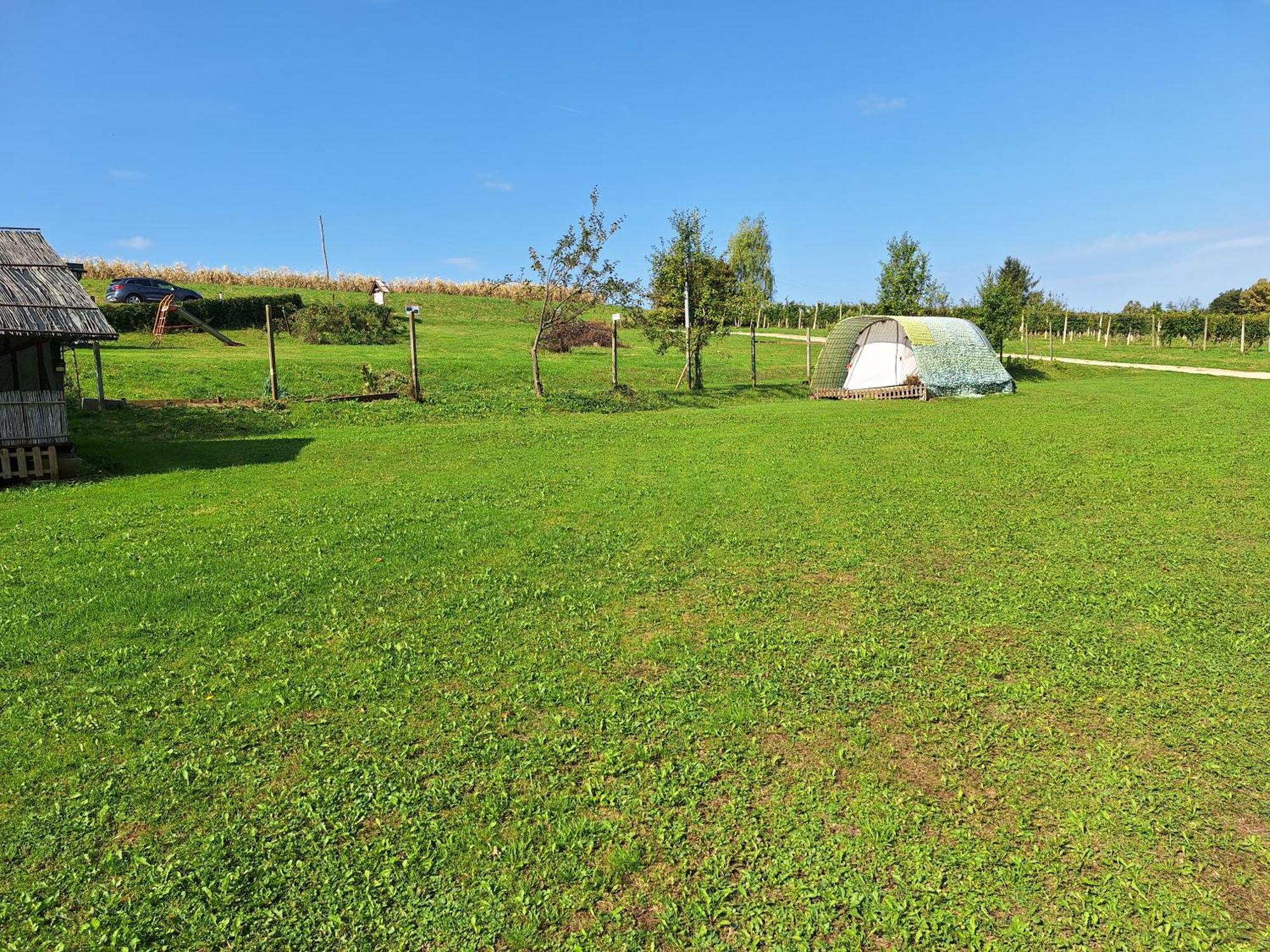 Camping Silva 류토메르 외부 사진